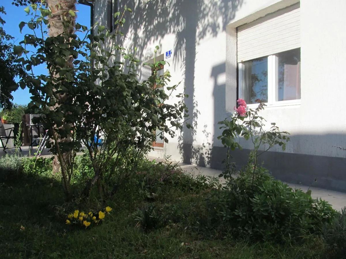 Apartment Ferienwohnung Adrian Grandici